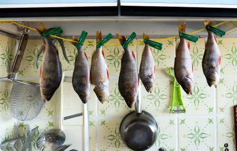 The Kitchen backgrounds. Fotos de archivo