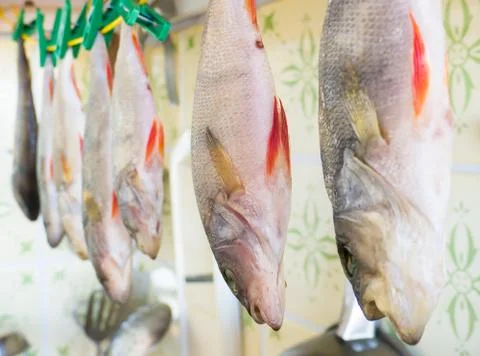 The Kitchen backgrounds. Stock-Fotos