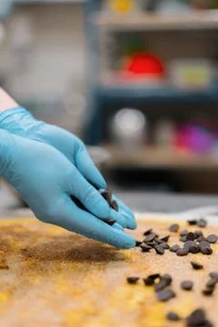The kitchen in the bakery - the process of making cinnabons, a woman baker uses 写真素材