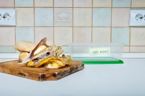 Kitchen bones container for dogs Stock Photos