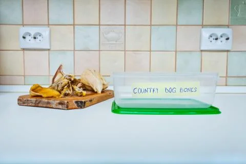 Kitchen bones container for dogs Foto stock