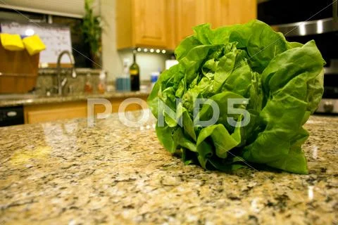 Kitchen Butter Lettuce Stock Photos
