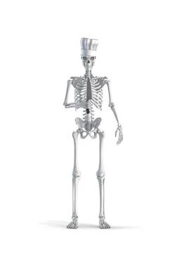 Kitchen chef skeleton Stock-Illustration