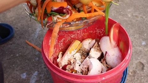 Kitchen compost pail Stock Footage 87196877