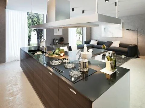 Kitchen contemporary style Illustrazione stock