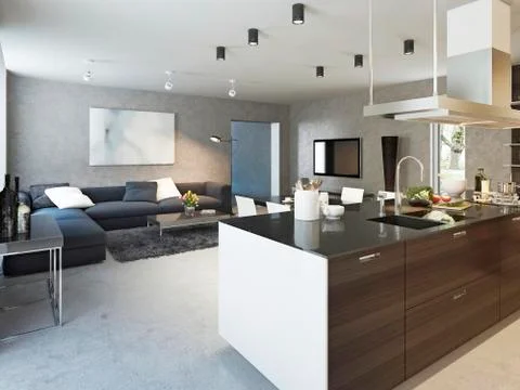 Kitchen contemporary style Stock Illustration