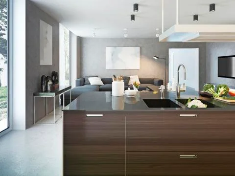 Kitchen contemporary style Stock Illustration