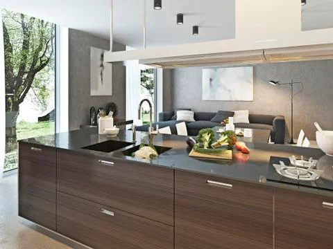 Kitchen contemporary style Stock Illustration