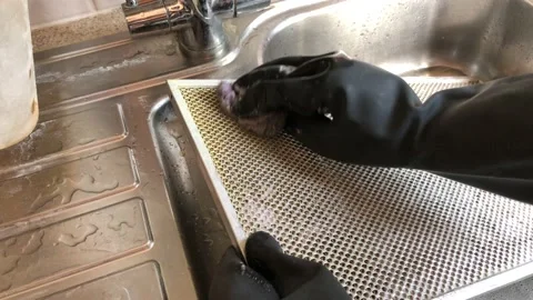 Kitchen cooker cleaning in protective rubber gloves, keeping home tidy Stock Footage 130345503