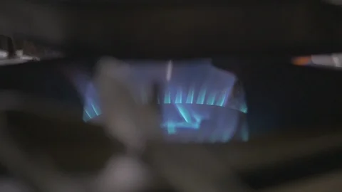 Kitchen Cooker gas blue  Stock Footage 115070021