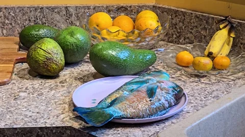 Kitchen Counter Still Life with Parrot Fish and Tropical Fruits Stock Footage 296262669