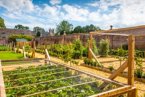 Kitchen garden Stock Photos