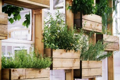 Kitchen garden Stock Photos