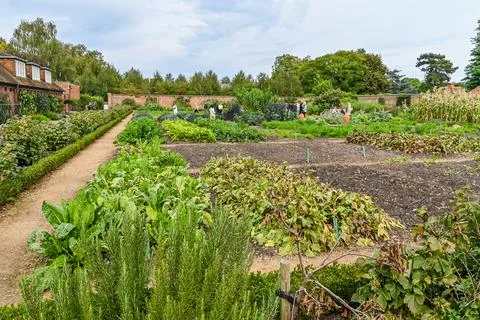 The Kitchen Garden Foto stock