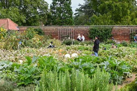 The Kitchen Garden Stock Photos
