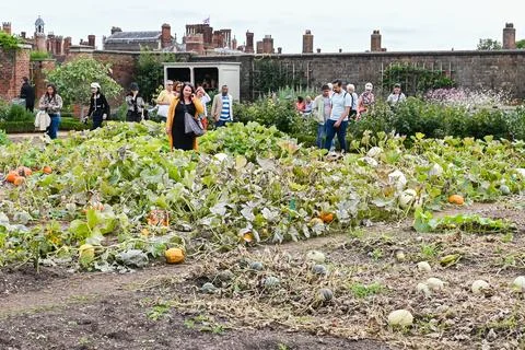 The Kitchen Garden Stock Photos