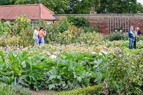The Kitchen Garden Stock Photos