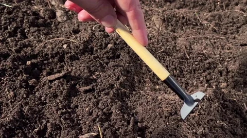 Kitchen-garden1 Stock Footage 182421216