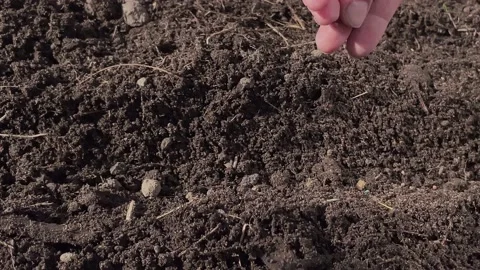 Kitchen-garden2 Stock Footage 182420760