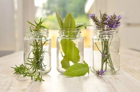 Kitchen herbs Stock Photos