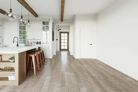 Kitchen interior with empty area and front door. Stockillustratie