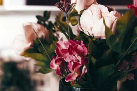 Kitchen interior Stock Photos
