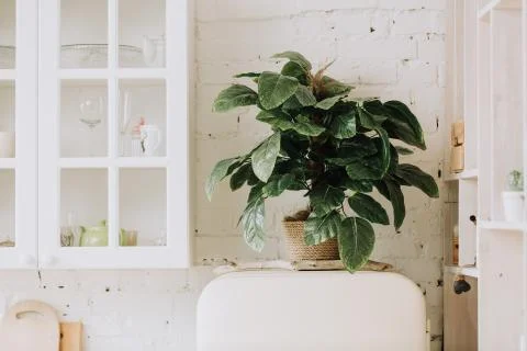 Kitchen interior with vintage kitchenware Stock Photos