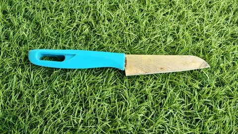 Kitchen knife for cutting vegetables Stock Photos