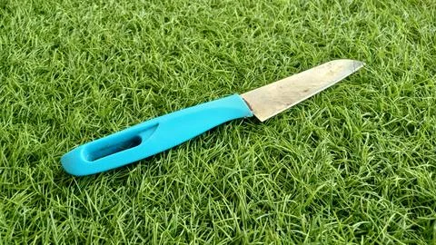 Kitchen knife for cutting vegetables Stock Photos