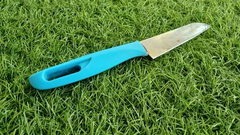 Kitchen knife for cutting vegetables Stock Photos