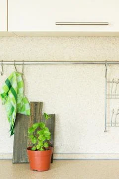 Kitchen marble table with a cutting board, mint plant and various spices. Stock Photos