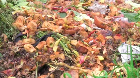 Kitchen-midden Vídeo Stock 12319127