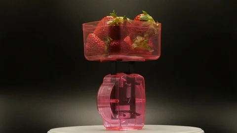 Kitchen scale full of strawberries Stock Footage 108821865