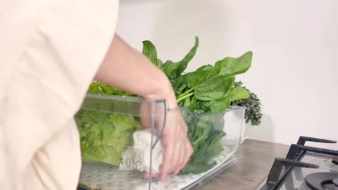 Kitchen Scene from Another Angle.Storing Fresh Spinach in Fridge Stock Footage 311053650
