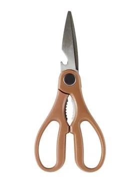 Kitchen scissors are isolated on a white background. Stock Photos
