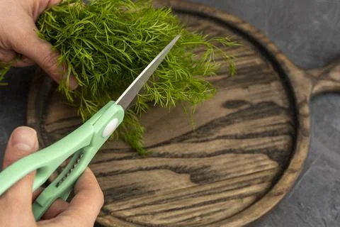 Kitchen scissors cutting dill in the kitchen on a cutting board Foto stock