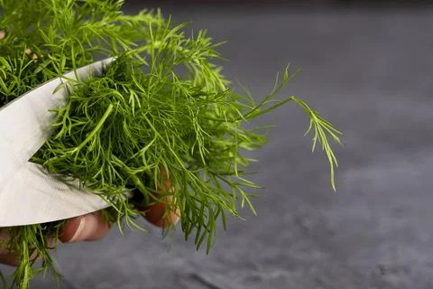 Kitchen scissors cutting dill in the kitchen on a cutting board Stock Photos