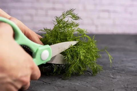 Kitchen scissors cutting dill in the kitchen on a cutting board Stock Photos