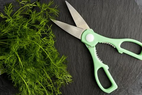 Kitchen scissors cutting dill in the kitchen on a cutting board Foto stock