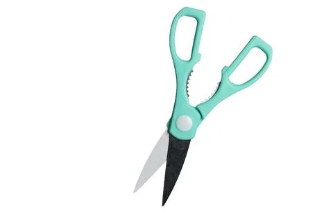 Kitchen scissors isolated on a white background. close-up Stock Photos