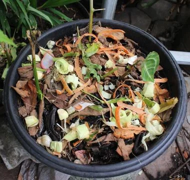 Kitchen scraps composted Stock Photos