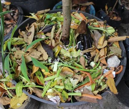 Kitchen scraps composted Stock Photos