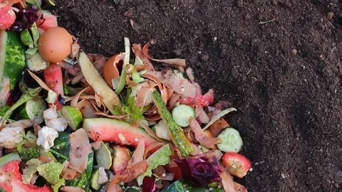 Kitchen Scraps. Organic Waste Composting Stock Footage 92839778