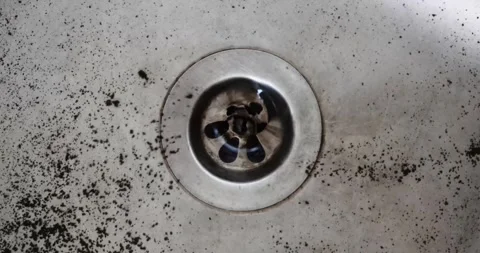 Kitchen sink drain needs cleaning to prevent debris buildup and maintain hygiene Stock Footage 278028156
