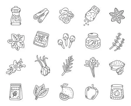 Kitchen spice ingredient set in outline line art Stock Illustration