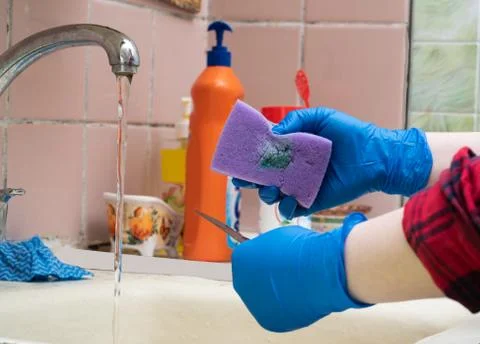 Kitchen sponge with a drop of cleaning agent. Girls hands in hygienic gloves. Stock Photos