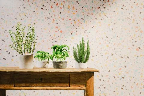 Kitchen table with herbs 3d rendering Stock Illustration