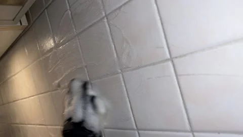 Kitchen tiles are cleaned Video stock 221587675
