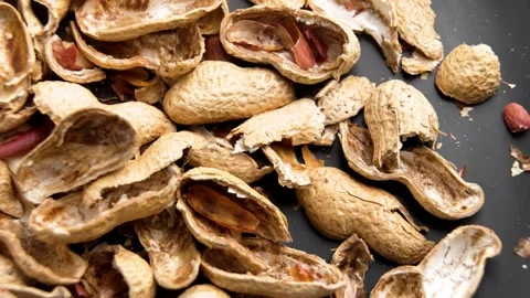 Kitchen trash peanut nut shells on black ceramic plate. Stock Footage 310183741