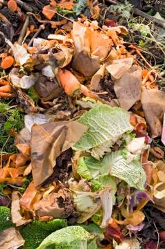 Kitchen Waste on a Compost Heap Foto stock